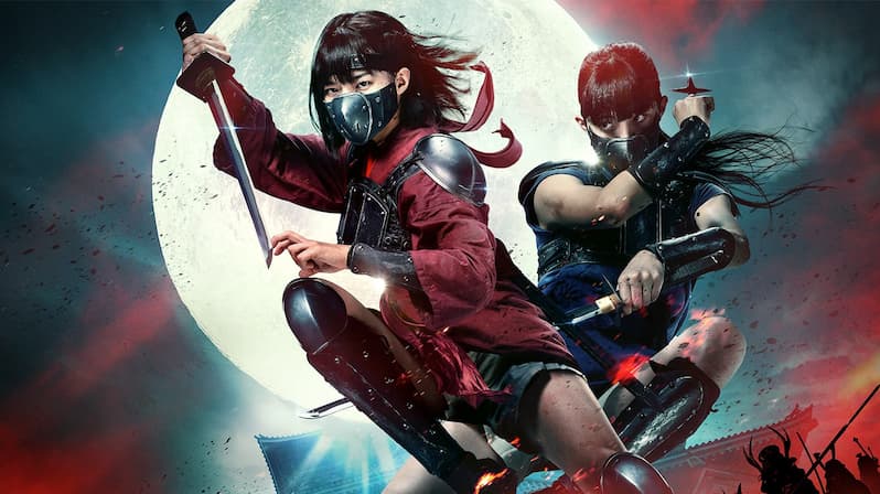 NINJA WARS VS SHONGUN