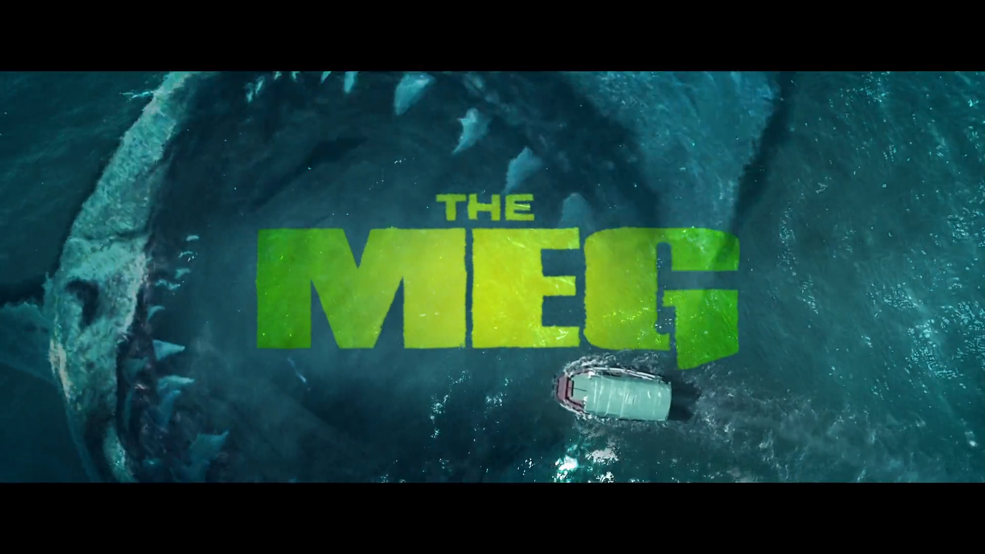 THE MEG